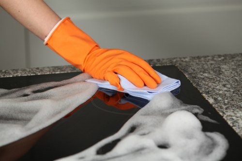 Deep cleaning equipment used for pet stain odour removal in a local property