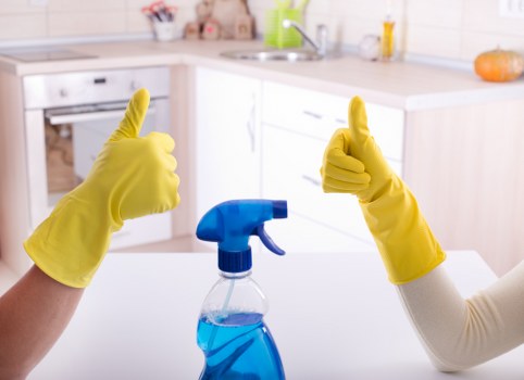 Flexible domestic cleaning service for homes across E11