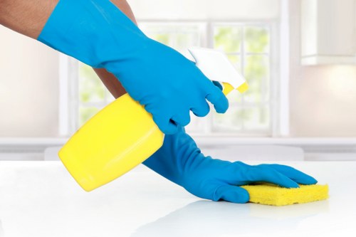 Professional carpet cleaning service for an E11 home interior