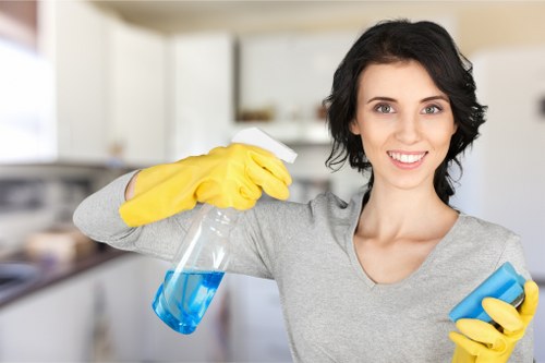 Residential and commercial window cleaning in E11 with bright clean glass