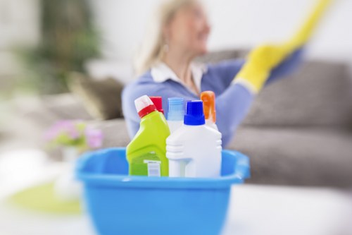 Professional pet stain cleaning for a hallway or stairs