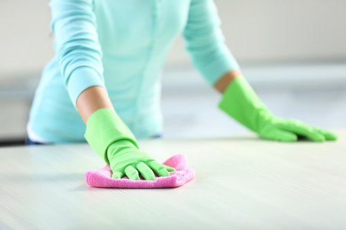Cleaning handrails and doors in a local apartment building corridor