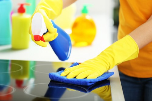 Professional carpet cleaning setup for residential and commercial E11 properties