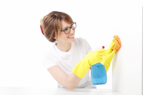 Inclusive Carpet Cleaners E11 browsing experience with assistive technology