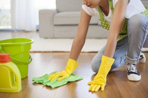 Local oven cleaner working in a flat kitchen in E11